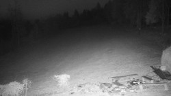 Běžecký lyžařský areál Nová Ves