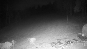 Chata Myslivna SKP Olomouc