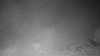 Chata Myslivna SKP Olomouc