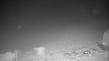 Chata Myslivna SKP Olomouc