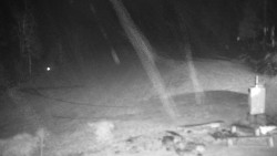 Běžecký lyžařský areál Nová Ves