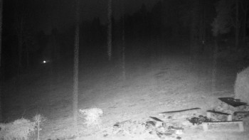 Chata Myslivna SKP Olomouc