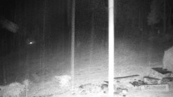 Běžecký lyžařský areál Nová Ves