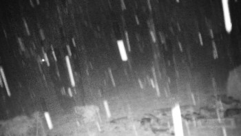 Chata Myslivna SKP Olomouc