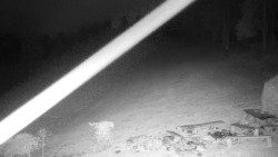 Běžecký lyžařský areál Nová Ves