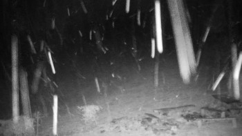 Chata Myslivna SKP Olomouc