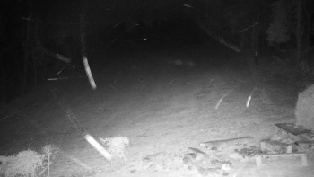 Chata Myslivna SKP Olomouc