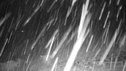 Běžecký lyžařský areál Nová Ves