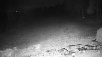 Chata Myslivna SKP Olomouc