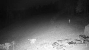 Chata Myslivna SKP Olomouc