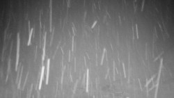 Běžecký lyžařský areál Nová Ves