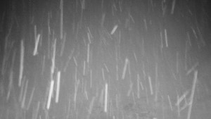 Chata Myslivna SKP Olomouc - Běžecký lyžařský areál Nová Ves - 21.4.2026 v 04:30