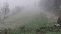 Běžecký lyžařský areál Nová Ves