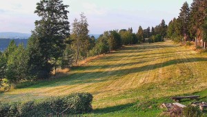 Chata Myslivna SKP Olomouc - Běžecký lyžařský areál Nová Ves - 31.7.2026 v 06:30 Chata Myslivna SKP Olomouc - Běžecký lyžařský areál Nová Ves - 31.7.2026 v 06:30
