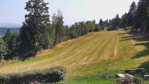 Chata Myslivna SKP Olomouc - Běžecký lyžařský areál Nová Ves - 31.7.2026 v 14:30 Chata Myslivna SKP Olomouc - Běžecký lyžařský areál Nová Ves - 31.7.2026 v 14:30