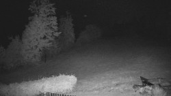 Běžecký lyžařský areál Nová Ves
