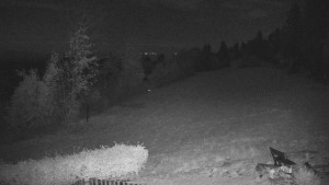 Myslivecká chata SKP Olomouc - Langlaufgebiet Nová Ves - 30.10.2026 v 02:30 Myslivecká chata SKP Olomouc - Langlaufgebiet Nová Ves - 30.10.2026 v 02:30