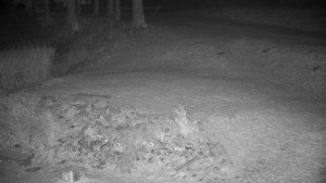 Chata Myslivna SKP Olomouc - Běžecký lyžařský areál Nová Ves - horní část - 14.11.2024 v 00:00 Chata Myslivna SKP Olomouc - Běžecký lyžařský areál Nová Ves - horní část - 14.11.2024 v 00:00