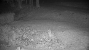 Chata Myslivna SKP Olomouc - Běžecký lyžařský areál Nová Ves - horní část - 14.11.2024 v 03:00 Chata Myslivna SKP Olomouc - Běžecký lyžařský areál Nová Ves - horní část - 14.11.2024 v 03:00