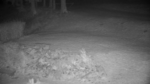 Chata Myslivna SKP Olomouc - Běžecký lyžařský areál Nová Ves - horní část - 14.11.2024 v 04:00 Chata Myslivna SKP Olomouc - Běžecký lyžařský areál Nová Ves - horní část - 14.11.2024 v 04:00