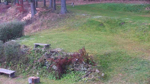 Chata Myslivna SKP Olomouc - Běžecký lyžařský areál Nová Ves - horní část - 14.11.2024 v 10:00 Chata Myslivna SKP Olomouc - Běžecký lyžařský areál Nová Ves - horní část - 14.11.2024 v 10:00