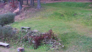 Chata Myslivna SKP Olomouc - Běžecký lyžařský areál Nová Ves - horní část - 14.11.2024 v 12:00 Chata Myslivna SKP Olomouc - Běžecký lyžařský areál Nová Ves - horní část - 14.11.2024 v 12:00