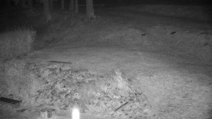 Chata Myslivna SKP Olomouc - Běžecký lyžařský areál Nová Ves - horní část - 14.11.2024 v 20:00 Chata Myslivna SKP Olomouc - Běžecký lyžařský areál Nová Ves - horní část - 14.11.2024 v 20:00