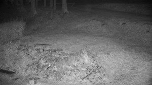 Chata Myslivna SKP Olomouc - Běžecký lyžařský areál Nová Ves - horní část - 14.11.2024 v 21:00 Chata Myslivna SKP Olomouc - Běžecký lyžařský areál Nová Ves - horní část - 14.11.2024 v 21:00