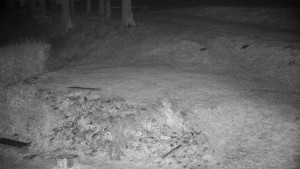 Chata Myslivna SKP Olomouc - Běžecký lyžařský areál Nová Ves - horní část - 14.11.2024 v 22:00 Chata Myslivna SKP Olomouc - Běžecký lyžařský areál Nová Ves - horní část - 14.11.2024 v 22:00