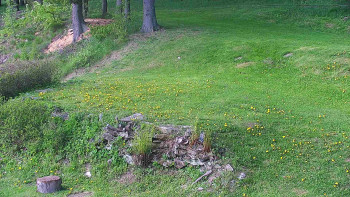 Snímek    13.5.2025 v 09:30