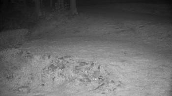 Snímek    13.5.2025 v 21:30