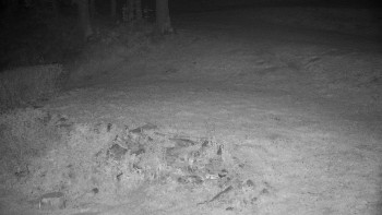 Snímek    13.5.2025 v 22:30