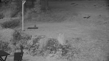 Snímek    13.9.2025 v 06:00