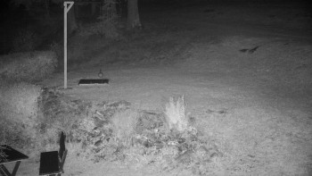 Snímek    17.9.2025 v 00:00
