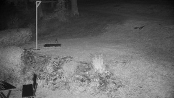 Snímek    17.9.2025 v 20:30