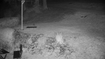 Snímek    17.9.2025 v 23:30