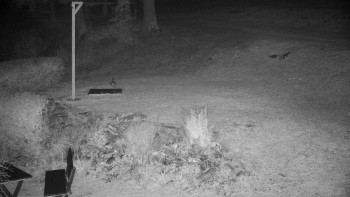 Snímek    18.9.2025 v 21:00