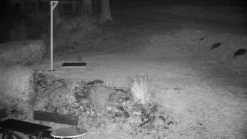 Snímek    18.10.2025 v 03:00
