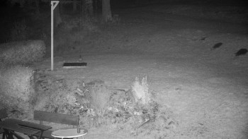 Snímek    19.10.2025 v 05:00