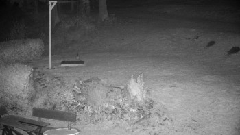 Snímek    20.10.2025 v 03:30