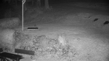 Snímek    21.10.2025 v 20:00