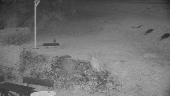 Snímek    22.10.2025 v 18:00