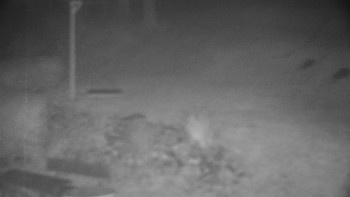 Snímek    22.10.2025 v 18:30