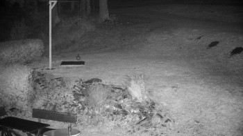 Snímek    23.10.2025 v 21:30