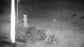 Snímek    28.10.2025 v 18:00