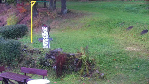 Chata Myslivna SKP Olomouc - Běžecký lyžařský areál Nová Ves - horní část - 29.10.2025 v 07:30 Chata Myslivna SKP Olomouc - Běžecký lyžařský areál Nová Ves - horní část - 29.10.2025 v 07:30