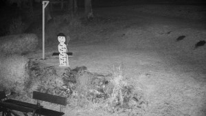 Chata Myslivna SKP Olomouc - Běžecký lyžařský areál Nová Ves - horní část - 31.10.2025 v 00:00