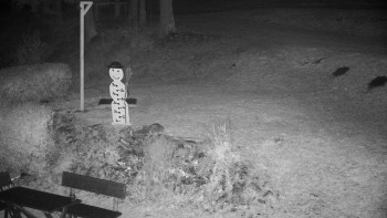 Snímek    1.11.2025 v 05:00