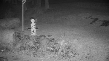 Snímek    2.11.2025 v 05:00