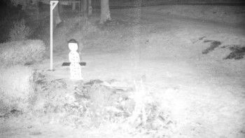 Snímek    2.11.2025 v 23:00